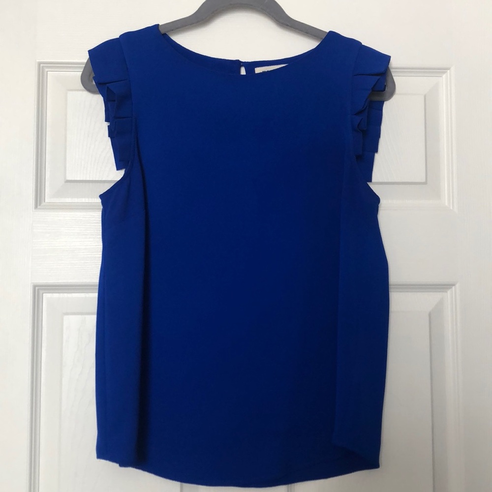 Ruffled Sleeve Blouse